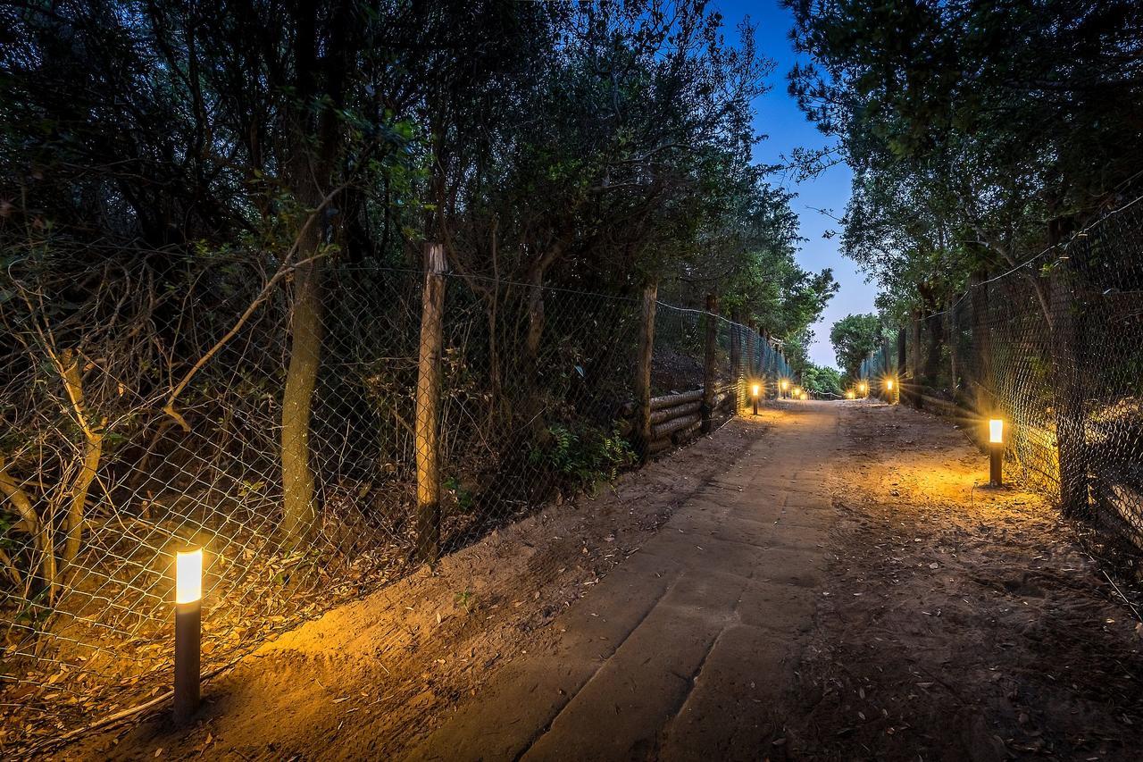 Camping Internazionale Etruria Кастільйоне-делла-Пеская Екстер'єр фото